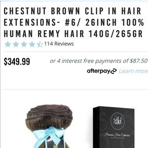 Zara hair extension chestnut 24 inches worn once